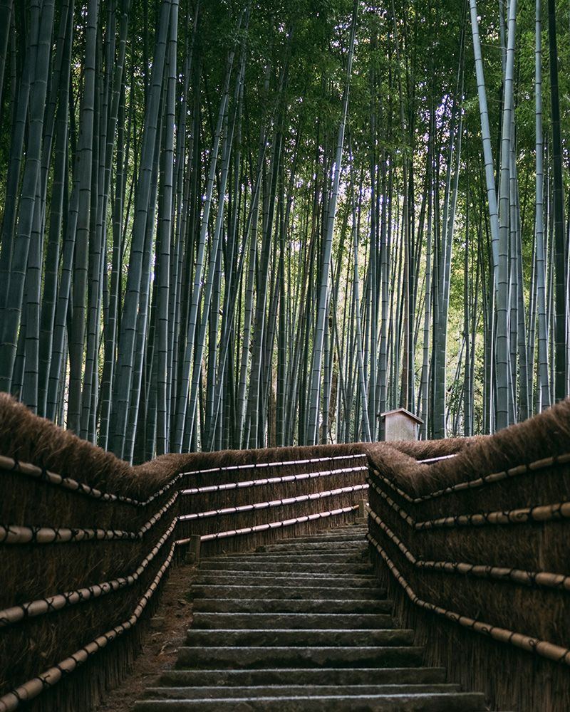 Lugar muy bonito