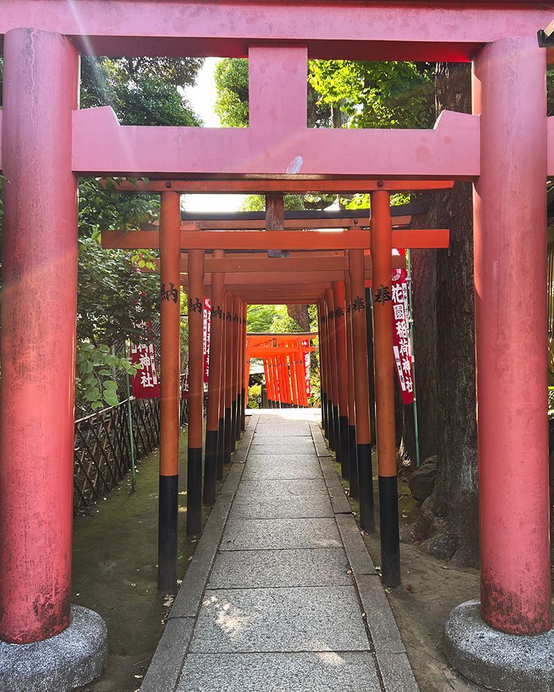 Mejor ruta por Japón: Parque Ueno