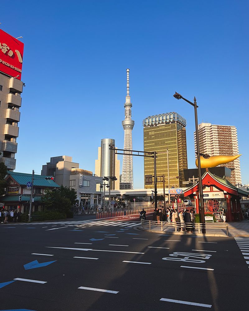 Japón por libre