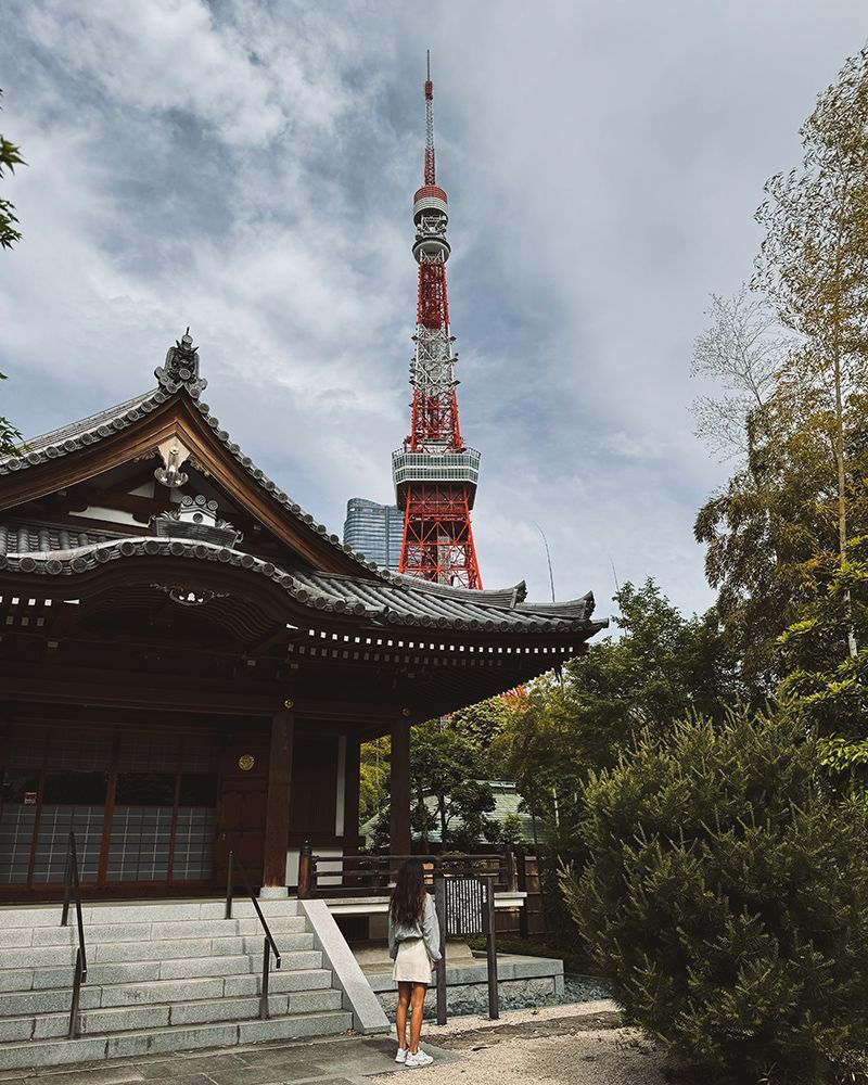 Japón por libre