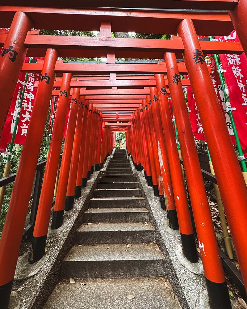 Un lugar único en Japón