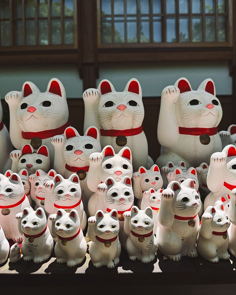 Japón por libre
