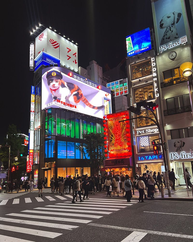 Japón por libre