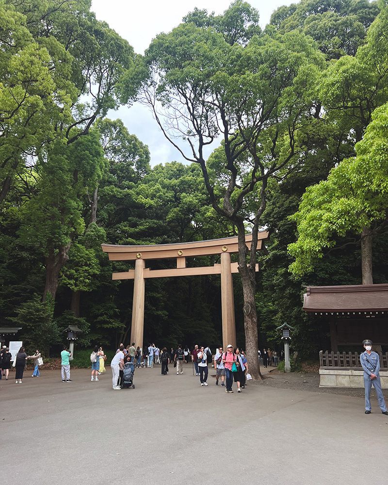 La mejor ruta para conocer Japón