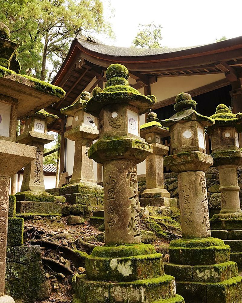 Mejor ruta por Japón: Santuario Kasuga Taisha