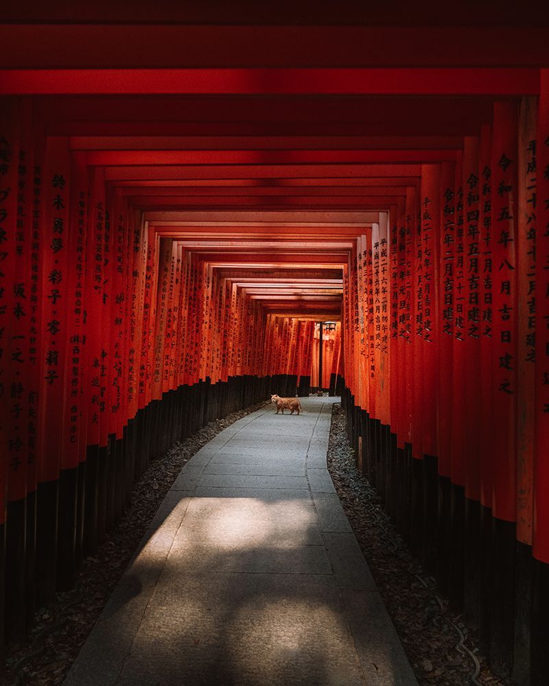 Mejor ruta por Japón